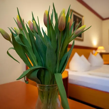 Esplanade&aparthotel Rialto Binz