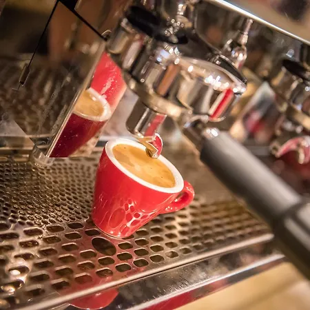 Esplanade&aparthotel Rialto Hotel